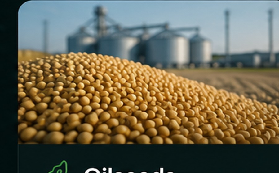 Feed ingredients